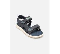 Timberland Perkins Row 2 Strap Youth Sandals Blu EU 33 Bambini