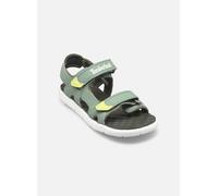 Timberland - PRRW BACKSTRAP SANDAL LTGRN Y Verde - Sandali e scarpe aperte 35 Verde