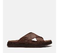 Timberland - Sandalo Casco Cove da Uomo in marrone scuro, Uomo, marrone, Taglia: 43
