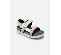 Timberland - SantaMonicaSunrise Sporty Rosa - Sandali e scarpe aperte 41 Rosa