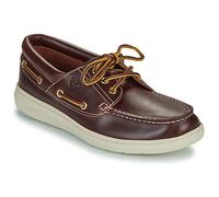 Timberland Scarpe PORTOFINO PIER in Marrone 42