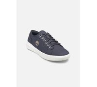 Timberland - Seneca Bay Oxford Blu - Sneakers 41 Blu