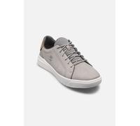 Scarpe Timberland Seneca Bay Oxford grigio marrone - 42