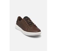 Timberland - Seneca Bay Oxford Marrone - Sneakers 45 Marrone