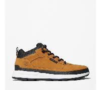 Timberland - Field Trekker - Sneakers da trekking basse stringate color grano-Marrone 45.5