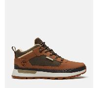 Timberland - Sneaker Field Trekker da Uomo in marrone/marrone scuro, Uomo, marrone, Taglia: 43.5