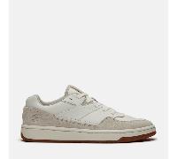 Timberland - Sneaker Jackson Court da Uomo in beige, Uomo, beige, Taglia: 42