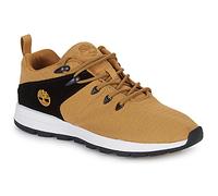 Timberland Sneakers SPRINT TREKR LOW KNIT in Marrone 41