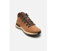 Timberland - SPRINT TREKKER Marrone - Sneakers 42 Marrone