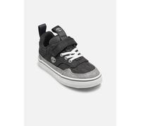 Timberland - STONE JUMP LOW HOOK & LOOP SNEAKER B Grigio - Sneakers 24 Grigio