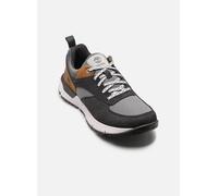 Timberland - VOYAGER PARK Grigio - Sneakers 43 Grigio