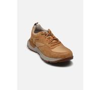 Timberland - VOYP LOW LACE SNEAKER WHEAT Marrone - Sneakers 42 Marrone