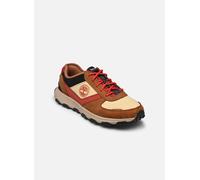 Timberland - Winsor Park Ox Marrone - Sneakers 40 Marrone