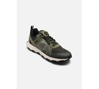 Scarpe Timberland Winsor Trail Low Lace-Up verde - 40
