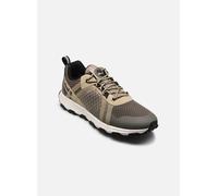 Timberland - Winsor TrailLOW LACE SNEAKER Verde - Sneakers 41 Verde