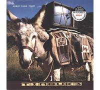 Timbuk 3 - Greetings from (1986) [VINYL]