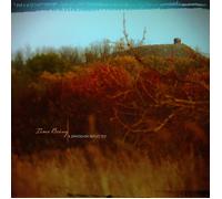 Time Being A dimension reflected (CD) Album