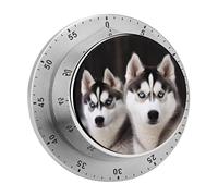 Timer da cucina a forma di cane Hu per cucinare, timer da cucina in acciaio inossidabile, orologio magnetico con conto alla rovescia da 60 minuti, meccanico a carica, per aula, palestra, studio, inseg