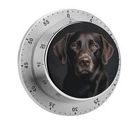 Timer da cucina a forma di cane Labrador nero per cucinare, timer da cucina in acciaio inossidabile, orologio magnetico con conto alla rovescia da 60 minuti, meccanico a carica, per aula, palestra, st