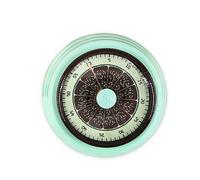 Timer da cucina a forma di limone, timer meccanico magnetico a carica automatica 60 minuti, cassa in metallo, design a piattino, non necessita batteria(Groen)