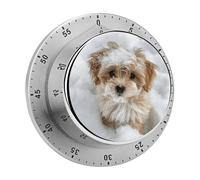 Timer da cucina con cane nella neve per cucinare, timer da cucina in acciaio inossidabile, orologio magnetico con conto alla rovescia da 60 minuti, meccanico a carica, per aula, palestra, studio, inse