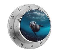 Timer da cucina con leone marino subacqueo, timer manuali con conto alla r