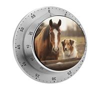 Timer da cucina magnetico in acciaio inox, timer con conto alla rovescia, orologio meccanico con sveglia per la cottura in forno, cane e cavallo insieme.