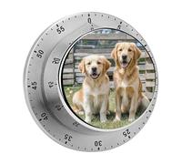 Timer da cucina meccanico da 60 minuti con base magnetica, rotondo, per cani Golden Retriever, cuccioli, animali domestici, manuale, per interni, in acciaio inossidabile, per la casa