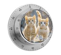Timer da cucina meccanico da 60 minuti, forte base magnetica e allarme forte, in acciaio inox, senza batteria, timer per conto alla rovescia per cucinare, studiare, giocare, aule, ufficio, palestra