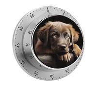 Timer da cucina per cuccioli con base magnetica, timer per uova sode, orologio da cucina con conto alla rovescia di 60 minuti per cucinare