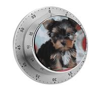 Timer da cucina per cuccioli di Yorkshire Terrier, squisito orologio da tavolo con timer in acciaio inossidabile e supporto magnetico