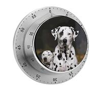 Timer magnetico manuale per cucina a forma di cane dalmata, timer per uova carini, orologio con conto alla rovescia rumoroso, timer meccanico con conto alla rovescia per aula, palestra, cucina, ese