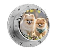 Timer per cuccioli di Pomerania, timer visivo digitale in acciaio inox, squisiti strumenti meccanici per il conto alla rovescia con timer silenzioso per cucina, ufficio, aula