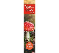 times&more Tage voller Glück Langplaner 2026: times&more Streifenkalender vertikal mit Fotos, die glücklich machen. Platz für Notizen. Jahres-Wandkalender mit Monatskalendarium im Format 11 x 49 cm