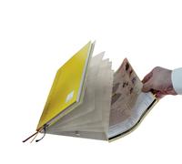 TimeTEX Cartella portadocumenti per agenda scolastica A4-Plus, cartella a scomparti A4 per riporre e organizzare documenti per pianificatori scolastici, trasparente
