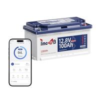 Timeusb Batteria Litio 12V 100Ah H190 Bluetooth,Batteria LiFePO4 100Ah con Protezione dalle Basse Temperature,Max.Energia 1280Wh,Altezza 188 mm per Caravan Europei DIN H8 L5 GROUP49