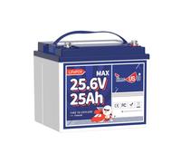 Timeusb Batteria Litio 24V 25Ah Batteria LiFePO4 con Protezione BMS,4000+Cicli Profondi e 10 Anni di Vita,640Wh con Celle EV-rated per Sedia a Rotelle Elettrica,Scooter Elettrico,Tosaerba