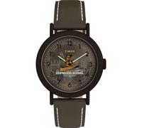 Timex Orologio unisex Harry Potter x Weekender Sorting Hat 37 mm - Verde due pezzi a sgancio rapido quadrante verde cassa color bronzo