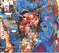 Timmy S Organism - Heartless Heathen