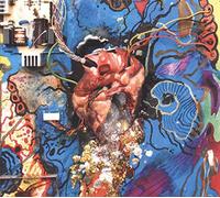 Timmy S Organism - Heartless Heathen