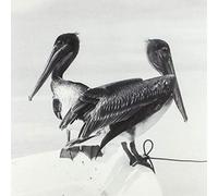 Timo Kämäräinen - Blink And You Miss It (LP)