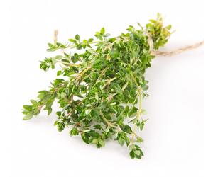 Timo Volgare Foglie 100 Gr