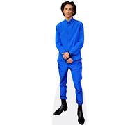 Timothée Chalamet (Blue Suit) mini formato