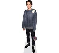 Timothee Chalamet (Casual) mini formato