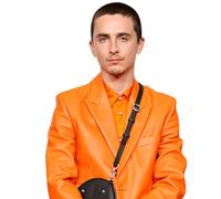 Timothée Chalamet (Orange) Half Body Buddy Cutout
