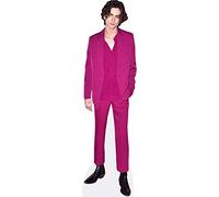 Timothee Chalamet (Purple Suit) a grandezza naturale
