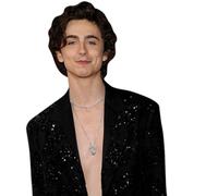 Timothée Chalamet (Topless) Half Body Buddy Cutout