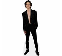 Timothée Chalamet (Topless) mini formato