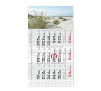 Timr calendario 3 mesi 2026 panoramica annuale - 53 cm - internazionale multilingue D/GB/F/I/E/NL - calendario da parete con cursore - motivo dune I tr340