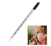 Tin Whistle D, D Tin Whistle, irlandese sei fori chiave di d, per principianti, intermedi ed esperti, band performance (argento)